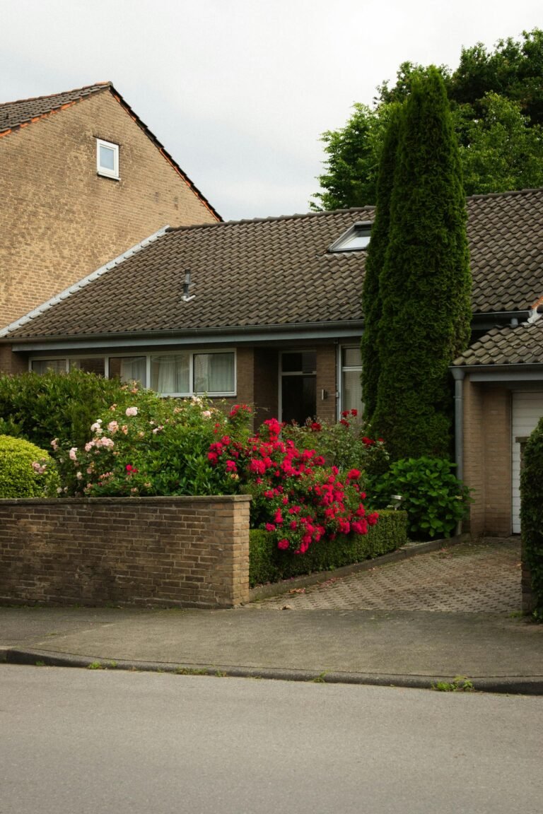 pexels-casnafu-27200896